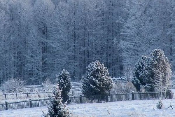Геологи собираются изучить Шамейскую площадь.